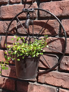 K[fjOG K[f ԗ nMO CeAw^bvEB[|bgEAeB[NuEx