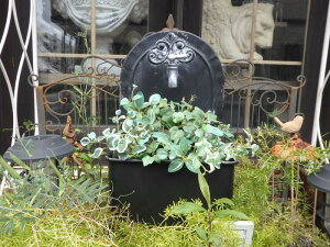 ^bv K[fjO K[f G݁wAeB[NItH[Zbgv^[x