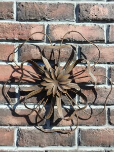 K[f K[fjO  G AeB[NyԗVсzwt[x^fRx