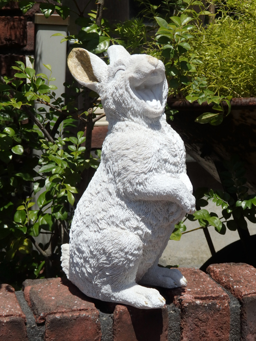 ガーデニング雑貨 ガーデン ウサギ 人気ブランド多数対象 １着でも送料無料 雑貨 NEW Rabbit up Crack