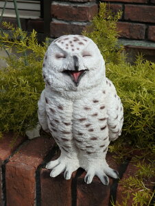 K[fjO K[f G݁wqAX zCgIEx