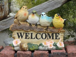 K[fjO K[f G݁wJtXgo[hEwelcomex