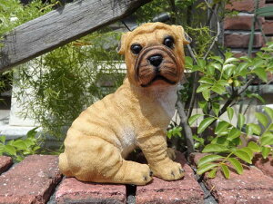 K[fjO K[f  hbNu  Aj}  G yԗVсzwuhbNx