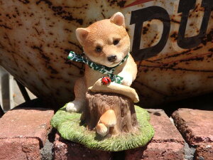 G K[fjO K[f hbO Aj}wėEn}x