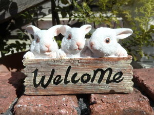 G K[fjO K[fwwelcomerbg3Ix