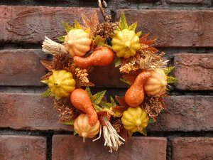 nEB K[fjO K[f G݁wpvLYI[Xx