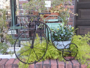 O֎ K[fjO K[f G݁wACAIgCVN v^[EuEx