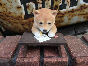 G K[fjO K[f hbO Aj}wĂI׋x