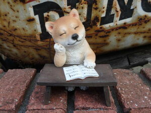 G K[fjO K[f hbO Aj}wĂI˂ނx