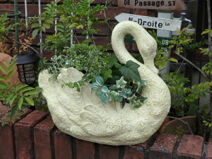 K[fjO K[f |bg 񂹐AX o[h KX AeB[NwXv^[x