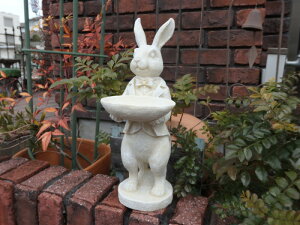 K[fjO K[f G݁wX^fBOoj[x