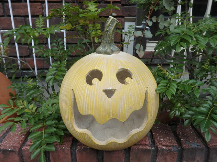 楽天市場 ハロウィン ガーデニング ガーデン まんまる ジャックランタン イエロー 花遊び