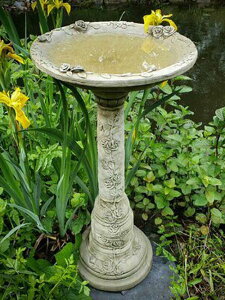 K[fjO K[f G݁wEnglish Rose Birdbathx