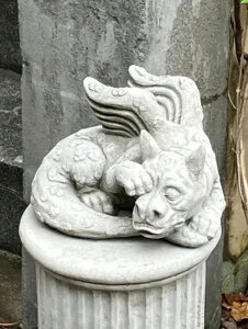 �C���O���b�V�� �K�[�f�j���O �K�[�f�� �O�b�Y�wEnglish Rub one's eye Dragon�x