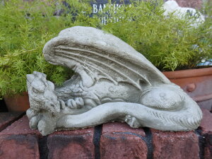 CObV K[fjO K[f ObYwEnglish Winged Dragonx