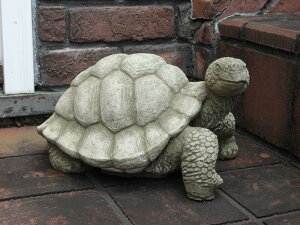 K[fjO K[f G݁wEnglish Giant Tortoisex