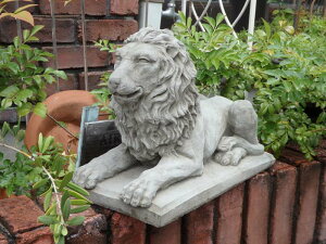 K[fjO K[f G݁wEnglish Lion Laying Downx