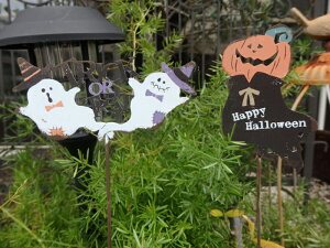 nEB ڂ pvL I[igwpvLS[Xg2IsbNESx