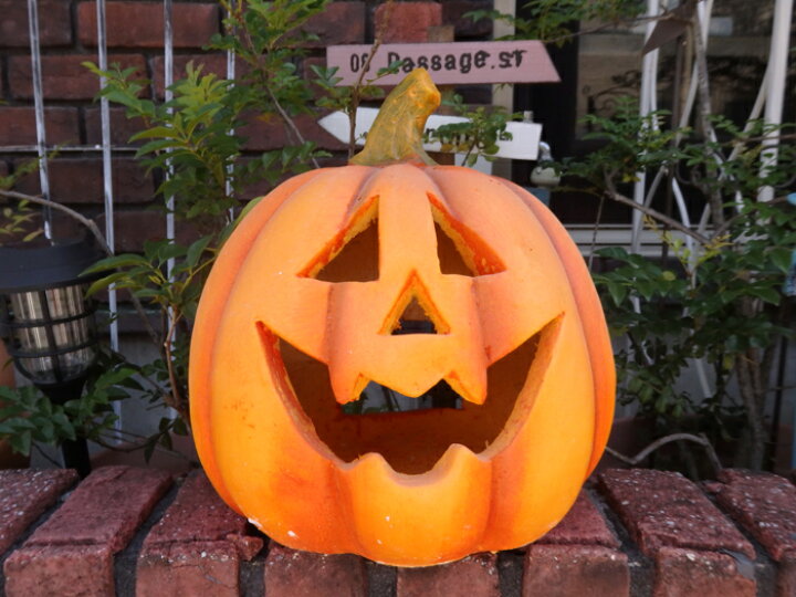 楽天市場】ハロウィン かぼちゃ ガーデニング ガーデン『ハロウィン 