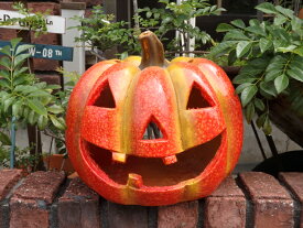 ハロウィン かぼちゃ ガーデニング ガーデン『パンプキン ジャックランタン』