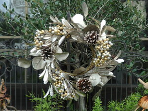 [X NX}X K[fjO K[f G݁wVCj[I~bNXx[[Xx