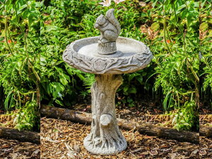 o[hoX  CObV K[fjO K[f wEnglish Birdbath on Squirrelx