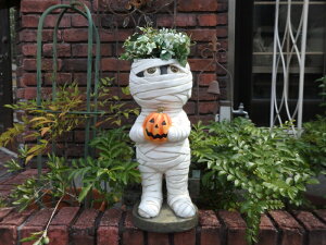 nEB ڂ pvL I[igwnEB rbOI}~[x