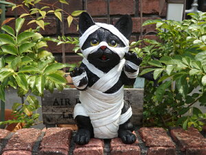 nEB ڂ pvL I[igwnEB }~[Lbgx