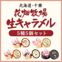 北海道 お土産 花畑牧場 生キャラメル5種5個セット【送料込み】 ランキングお取り寄せ