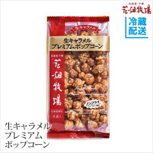 Ԕq Lv~A|bvR[ `L` 100gy①zz