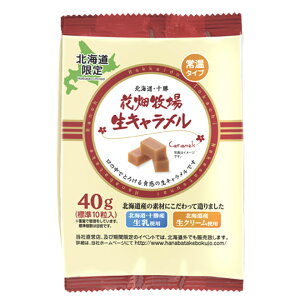 Ԕq@퉷L v[ 40g@y①zz