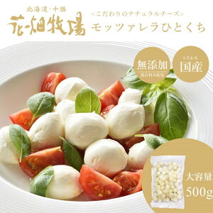 Ԕq tbVbc@ЂƂ500g@yⓀzz