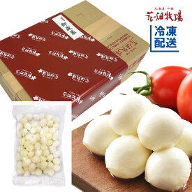 ＜ギフト＞花畑牧場　フレッシュモッツァレラ チーズ ひとくちタイプ500g【冷凍配送】