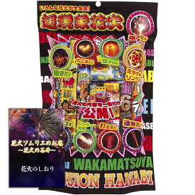 [送料無料]花火 手持ち花火 噴出花火 4人～5人用【約30分程度】不思議で面白い花火や手持ち花火や噴出花火が揃った超現象花火