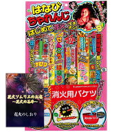 [送料無料]手持ち花火 初めてのお子様も大丈夫な簡単入門セット 2人～3人用【約20分程度】花火