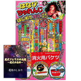 [送料無料]手持ち花火 初めてのお子様も大丈夫な簡単入門セット 2人～3人用【約20分程度】花火
