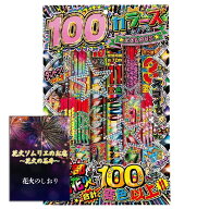 [送料無料]花火 手持ち花火 変色花火セット 2人～3人用【約20分程度】全てが綺麗に変色する珍しい花火セ…