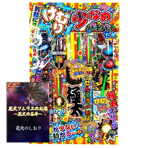 []ԉ {i莝ԉ 菭Ȃ 2l`3lpy20xzȂʐ^f