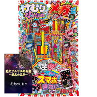 [送料無料]花火 本格手持ち花火 煙り少なめ メガ盛りセット 5人～6人用【約20分程度】