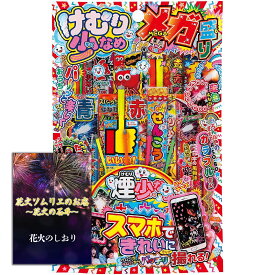 [送料無料]花火 本格手持ち花火 煙り少なめ メガ盛りセット 5人～6人用【約20分程度】