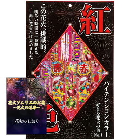 [送料無料]花火 好きな花火の色No1！2人～3人用【約20分程度】 一番映える赤花火だけを集めてみました 本格手持ち花火