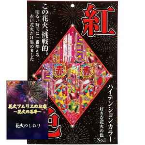 []ԉ Dȉԉ΂̐FNo1I2l`3lpy20xz ԉfԉԉ΂W߂Ă݂܂ {i莝ԉ