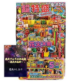 [送料無料] 花火 手持ち花火 手持ち花火と噴出花火の 豪華特盛セット 4人～5人用【約20分程度】