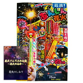 [送料無料] 花火 あんしんスティック棒付き 2人～3人用【約20分程度】あんしん花火 子供が喜ぶキラキラ光る安心スティック棒付き