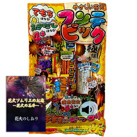 [送料無料]花火 音が小さめ 手持ち+噴出花火セット 2人～3人用【約20分程度】音が小さめだからおうちの前でも気軽に遊べる