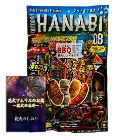 [送料無料]花火 キャンプやアウトドアを盛り上げてくれること間違いなし 3人～5人用【約20分程度】BBQ絵柄花火付き【手持ち花火 線香花火 噴出花火 おもしろ花火のフルセット 】 3人～5人用【約20分程度】