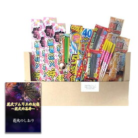 [送料無料][あす楽] 花火 手持ち花火 3人～4人用 【約20分程度】セロハンテープ不使用 売れ筋ばかり集めたオールスター60本セット 簡単