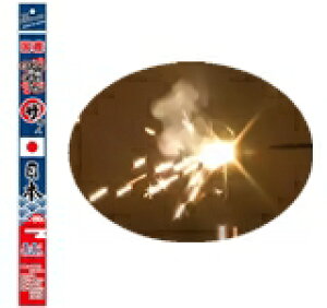 u΂vƁuςv̋I@UEEl{i1{jy莝ԉ΁z