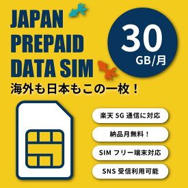 楽天モバイル プリペイド SIMカード 30GB 6ヶ月プリペイドプラン 半年 180日間　楽天回線　au 国際ローミング利用可能 データ通信 テレワーク prepaid SIM プリペイドSIMカード　格安SIM