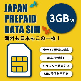 楽天モバイル プリペイド SIMカード 3GB 6ヶ月プリペイドプラン 半年 180日間　楽天回線　au 国際ローミング利用可能 データ通信 テレワーク prepaid SIM プリペイドSIMカード　格安SIM